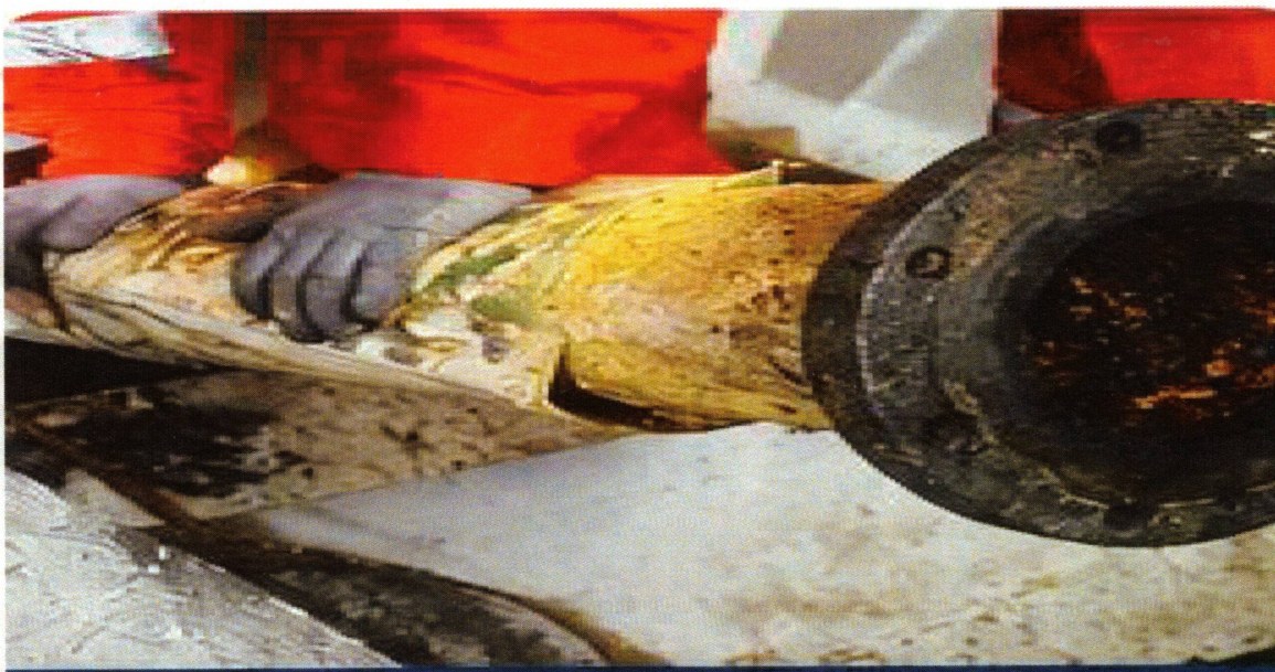The removed corroded pipe section with flange